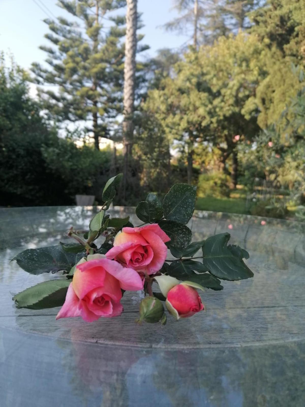 Willa Voscenza Benerica Vittoria Zewnętrze zdjęcie
